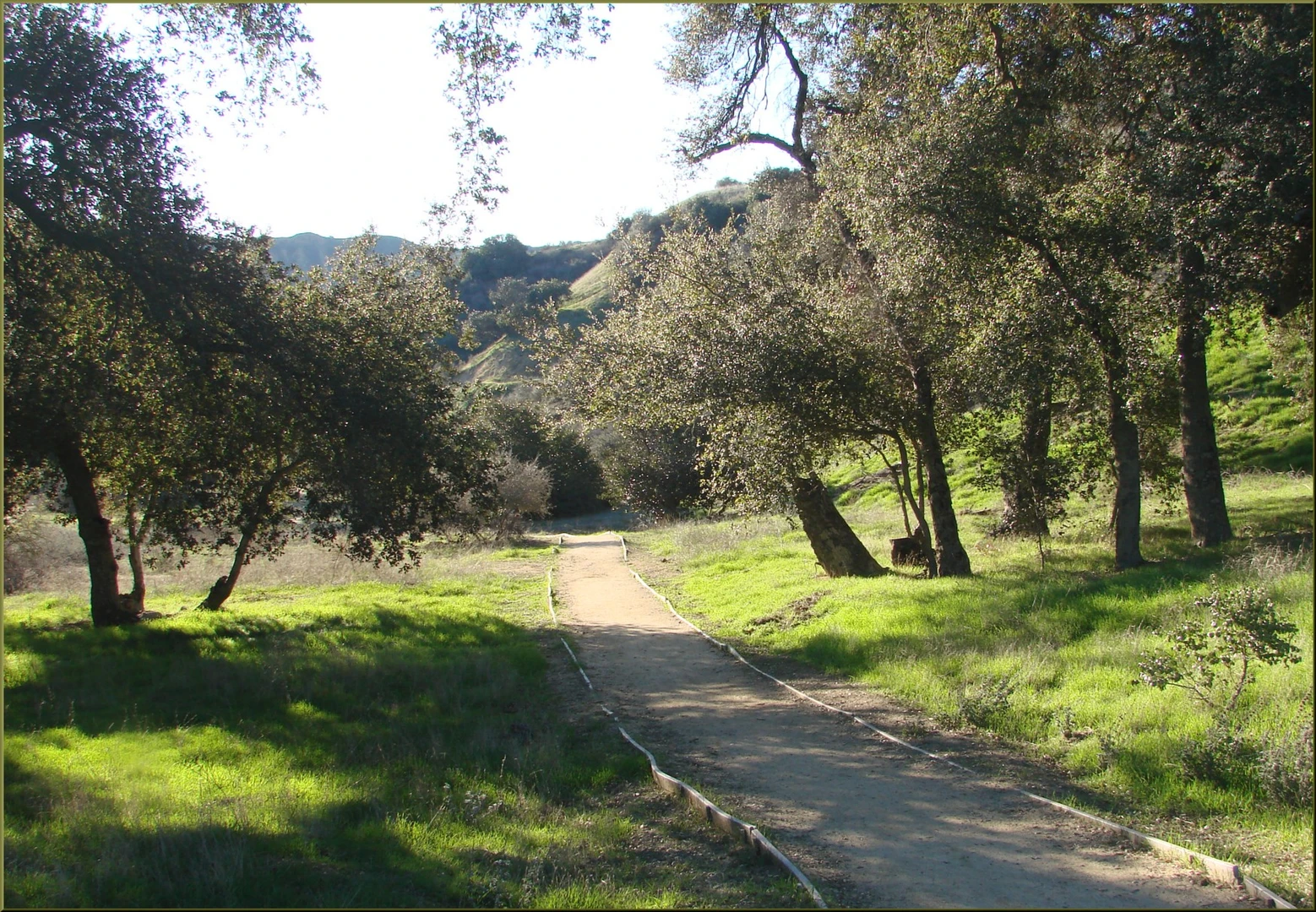 An image depicting the trail Oakmont and Little Live Oak Canyon Loop Trail and its surrounding area.
