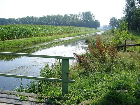 Bedafsche Uitzichttoren and Vorstenbosch Loop