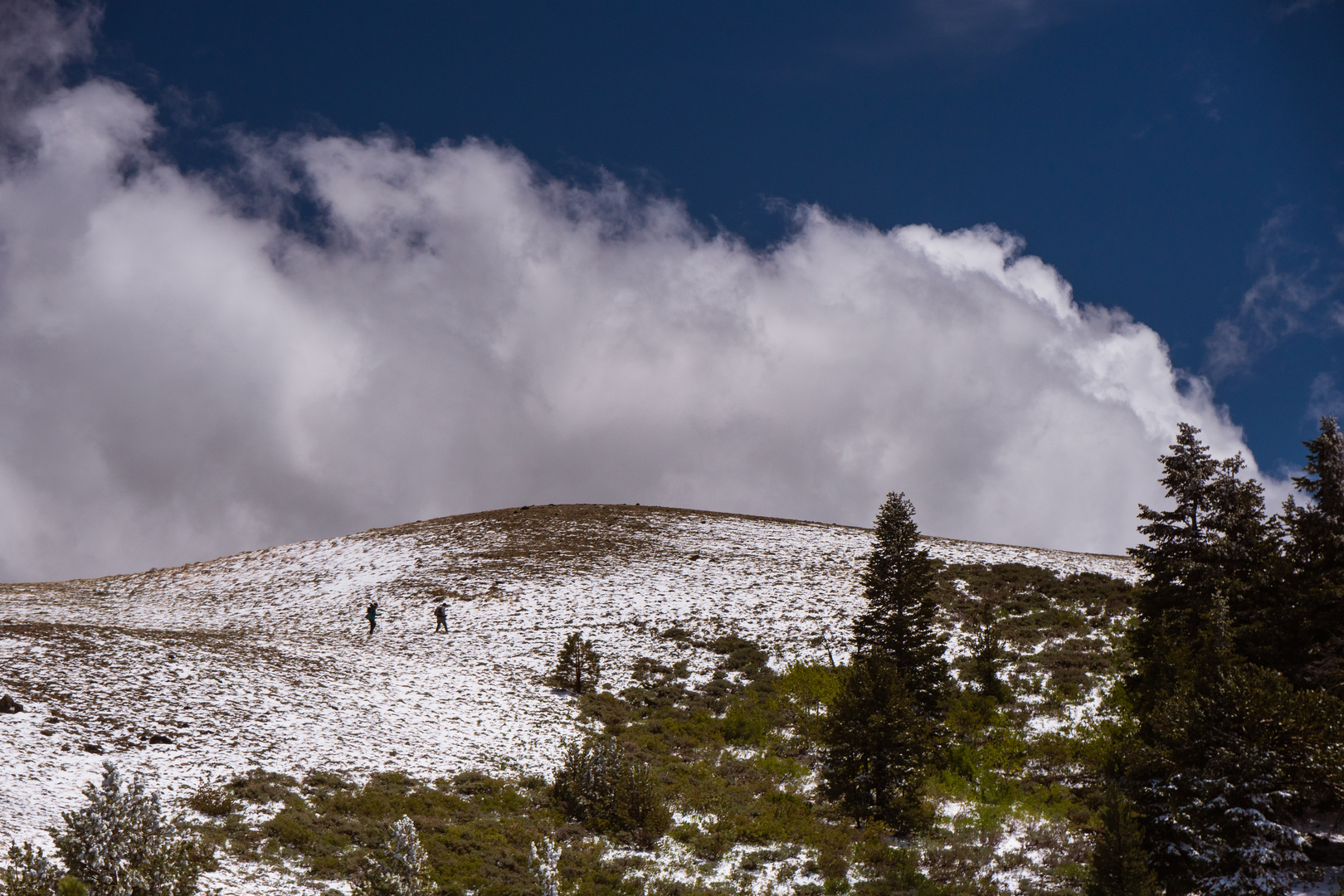 An image depicting the trail Upper Cottonwood Trail via Summit Trail and its surrounding area.