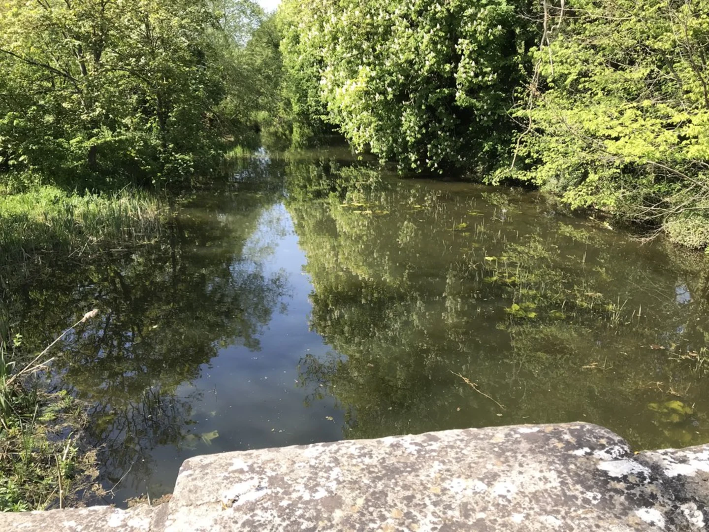 An image depicting the trail Godmanchester and Huntingdon Loop via River Great Ouse and its surrounding area.