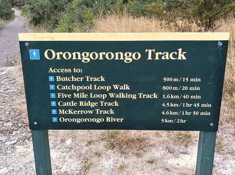 Ōrongorongo Track to Cattle Ridge Track