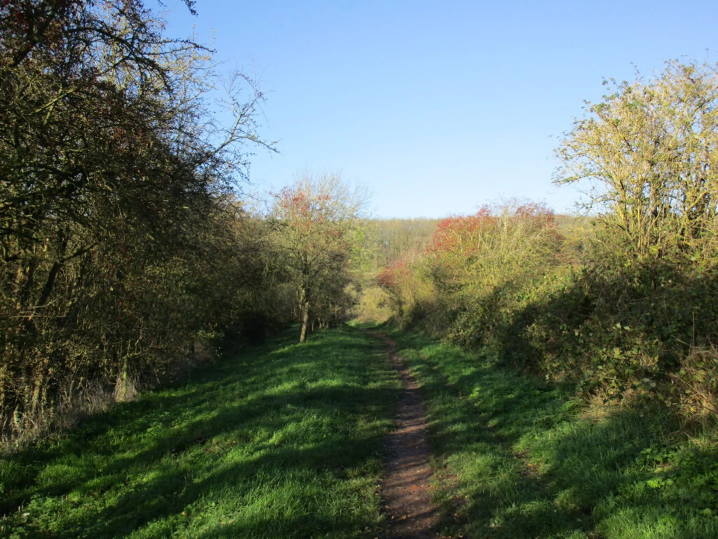 An image depicting the trail Gotham Loop and its surrounding area.