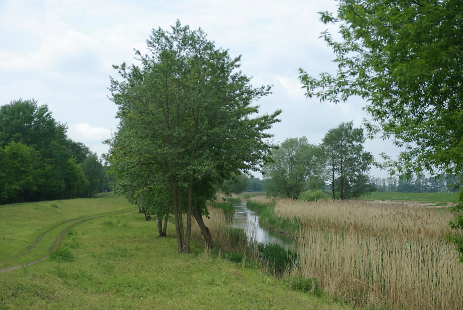 An image depicting the trail Kreuzberg, Ruhlmuhle and River Spree Loop via Spreeaue and its surrounding area.
