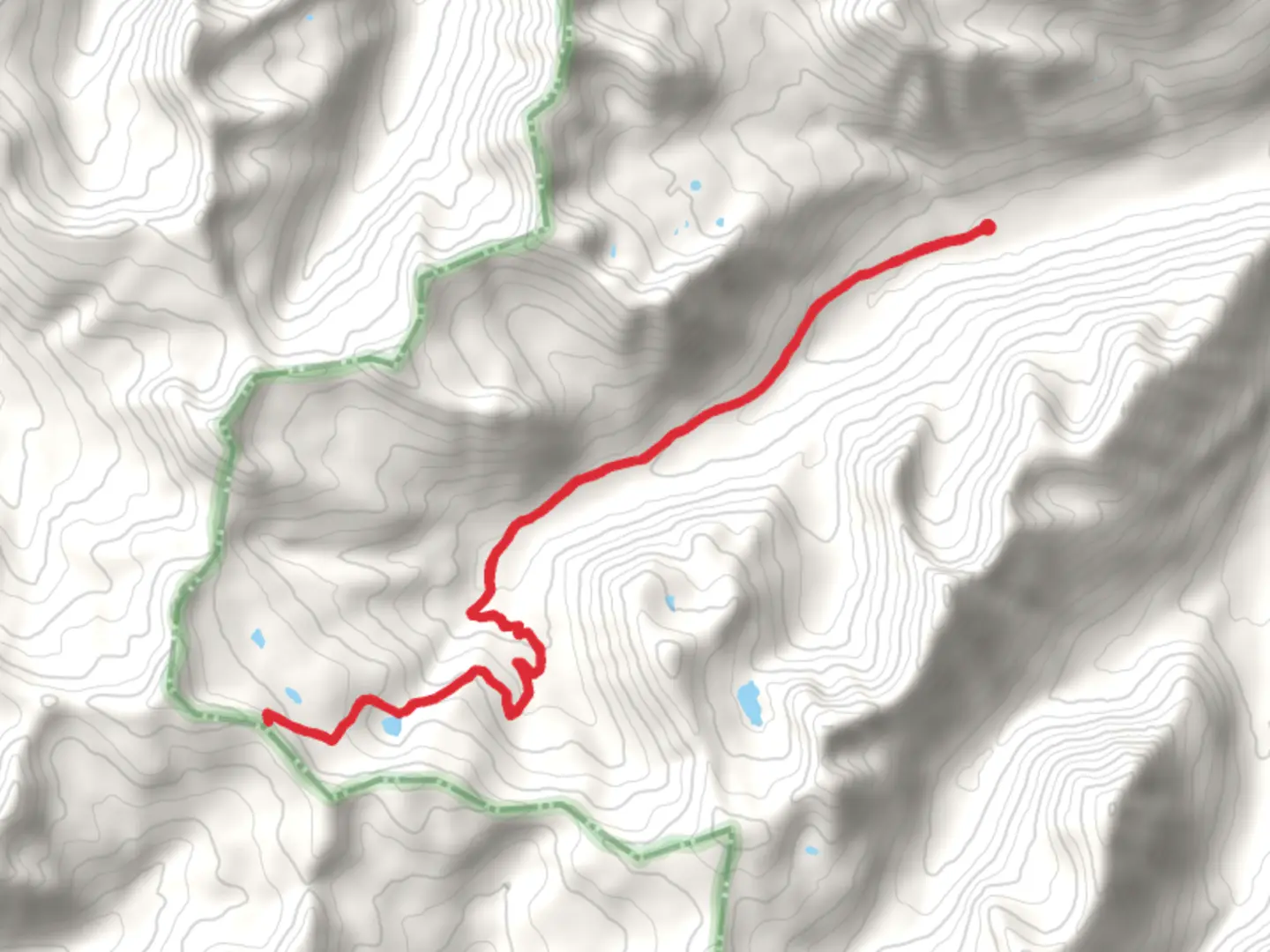 An image depicting the trail Whale Creek Trail and its surrounding area.