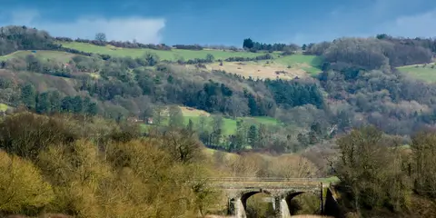 An image depicting the trail Community Forest Path and its surrounding area.