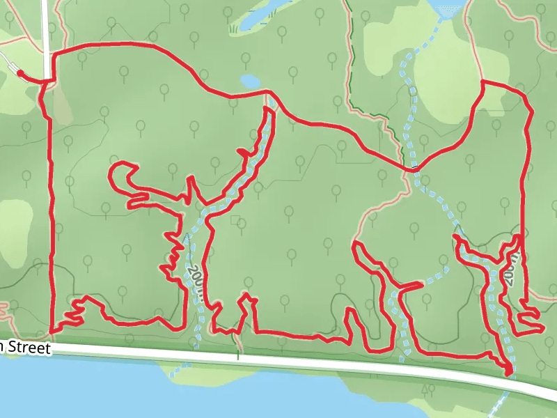 Palos Yellow and Black Unpaved Loop Trail