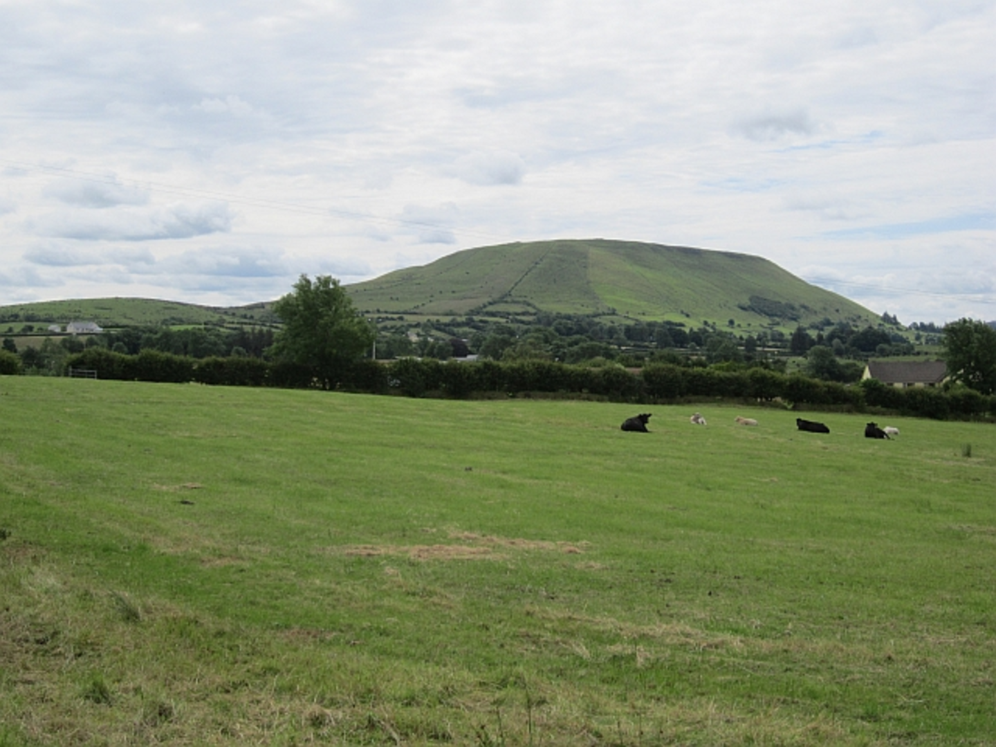 An image depicting the trail Knocknashee Trail and its surrounding area.