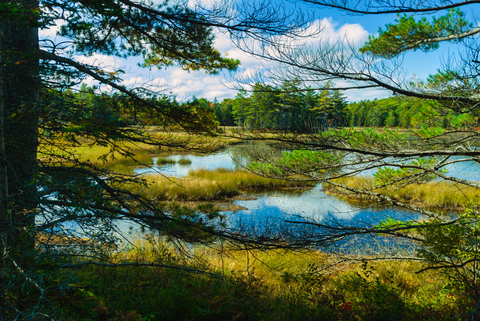An image depicting the trail Parkman - Aunt Betty Trail and its surrounding area.