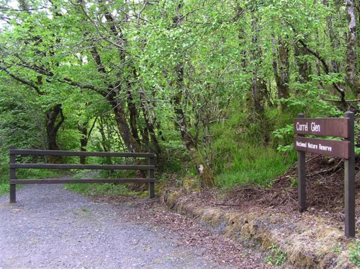 An image depicting the trail Correl Glen and its surrounding area.