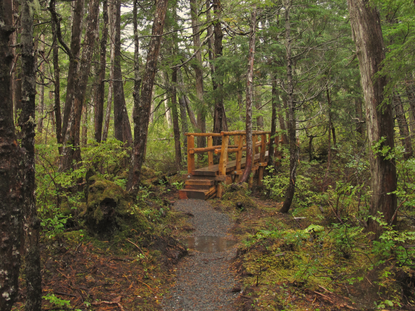 An image depicting the trail Beaver Lake via Herring Cove Loop Trail and its surrounding area.
