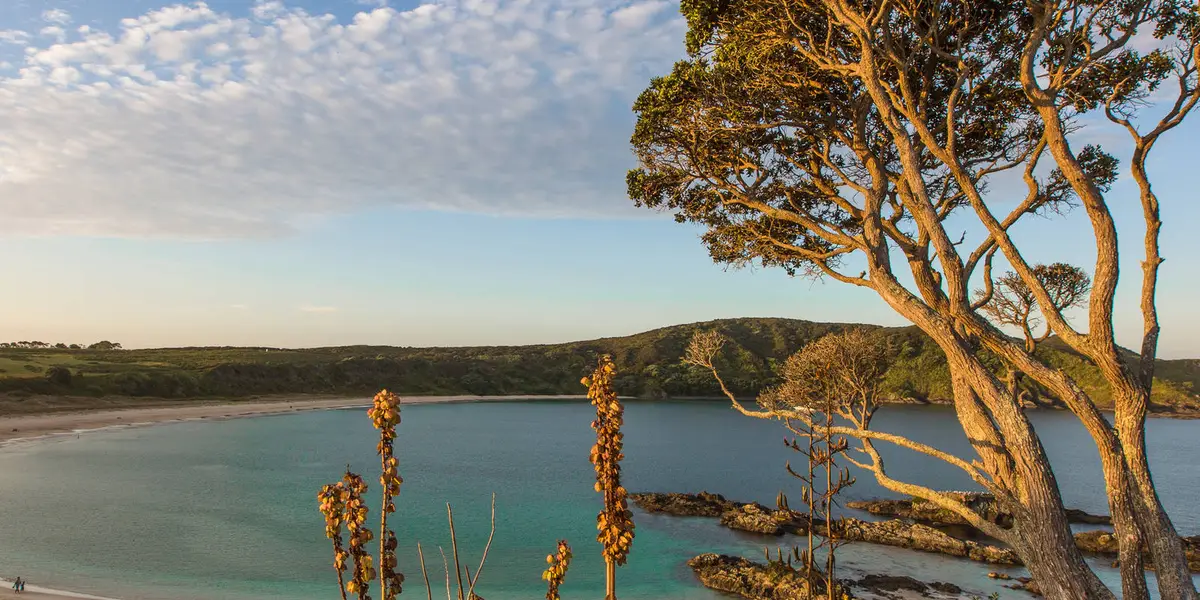 Maitai Bay Headland Track