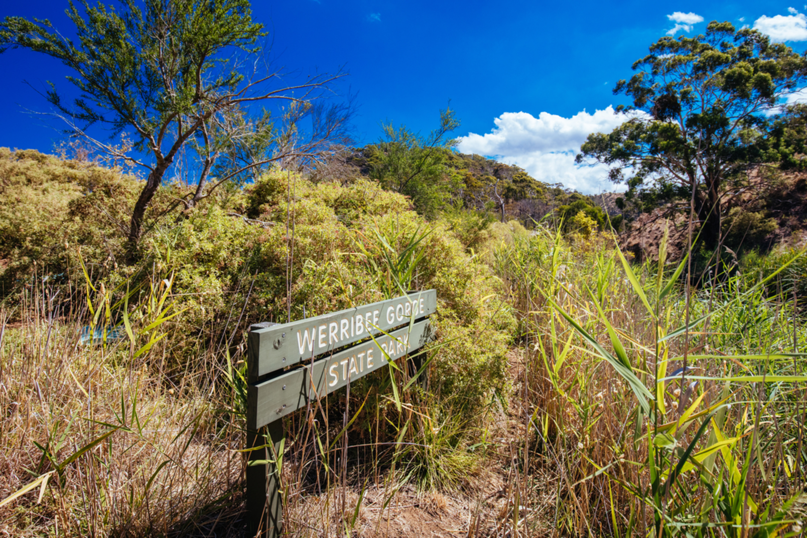 An image depicting the trail Granites - Saddle and Ironbark Gorge Trail and its surrounding area.