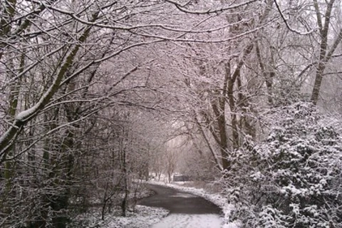 Caldy Nature Park Loop