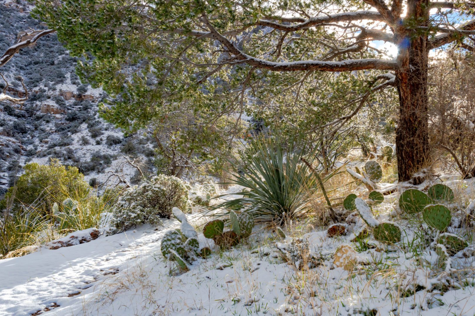 An image depicting the trail Finger Rock Trail and its surrounding area.