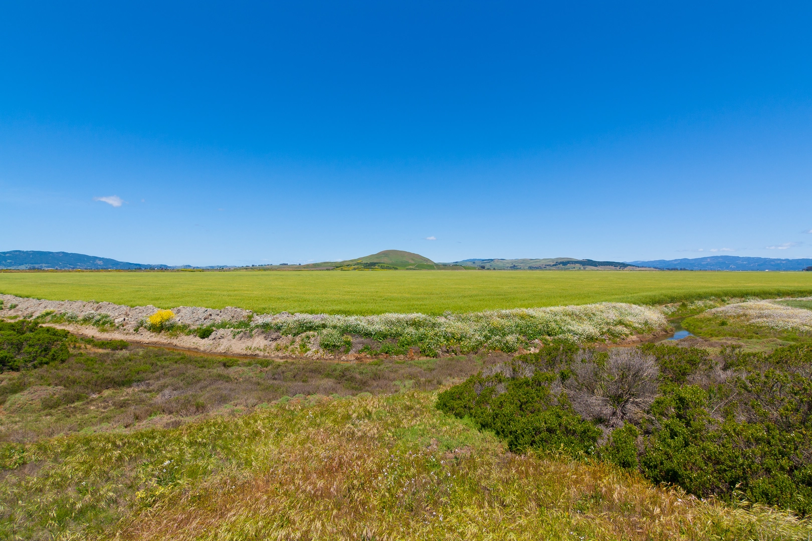 An image depicting the trail San Francisco Bay and Eliot Trail and its surrounding area.