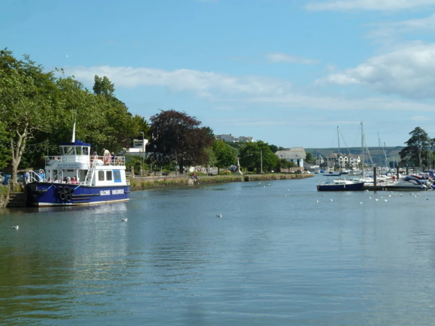 An image depicting the trail Kingsbridge and Bowcombe Creek Walk and its surrounding area.