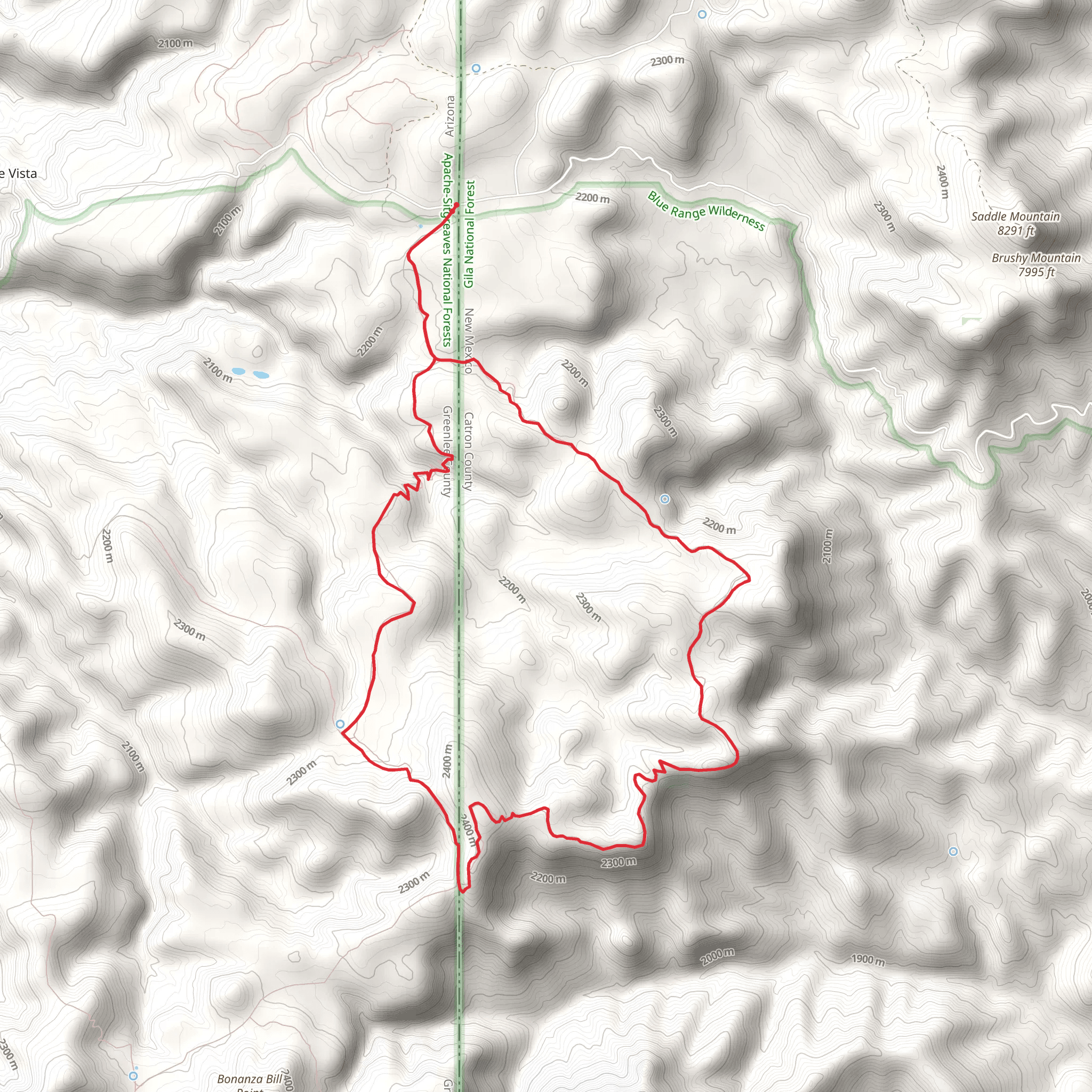 Tige Rim Trail and Bonanza Bill Loop Trail mobile static map