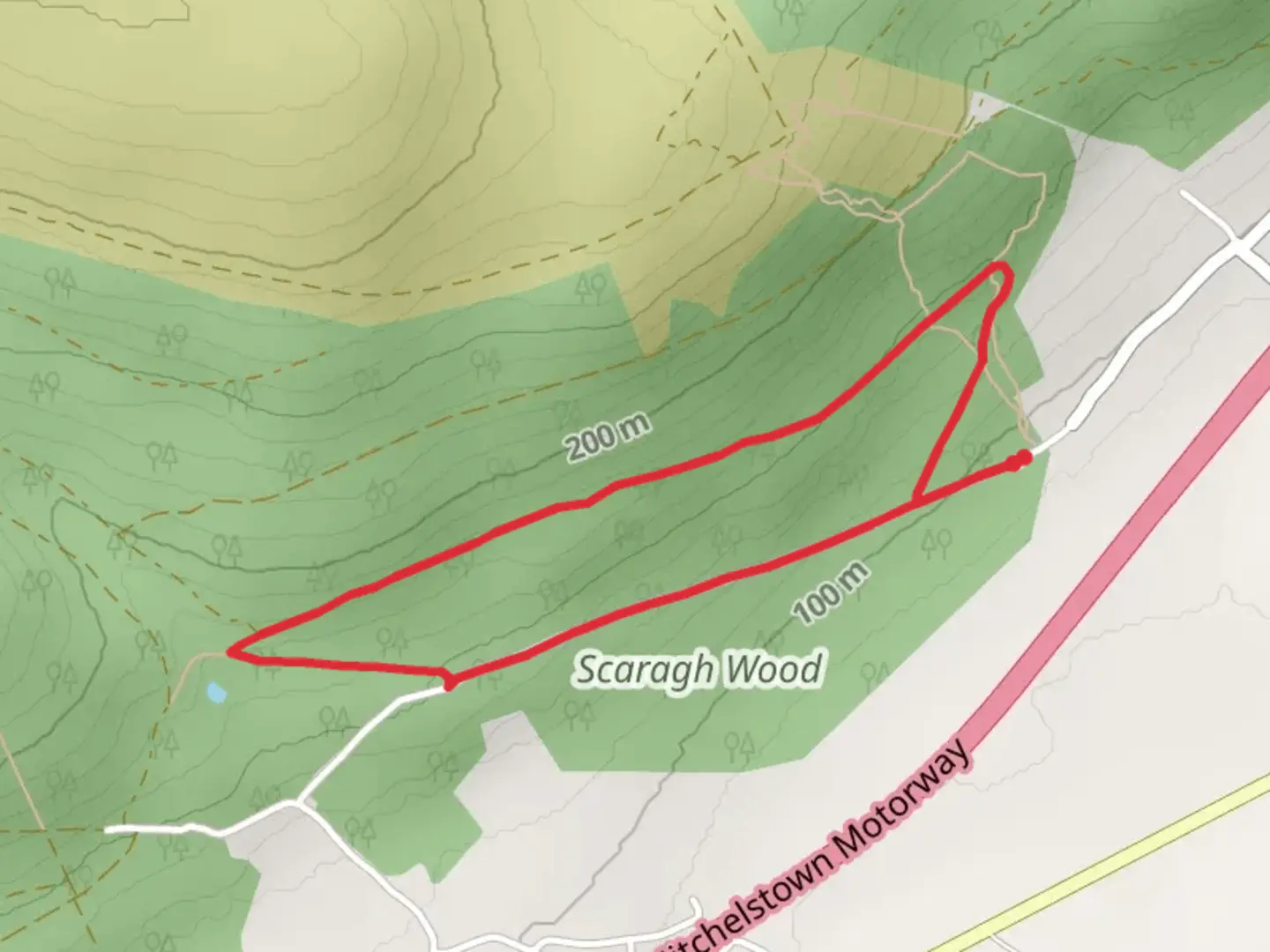 An image depicting the trail Scaragh Woods Green Trail and its surrounding area.