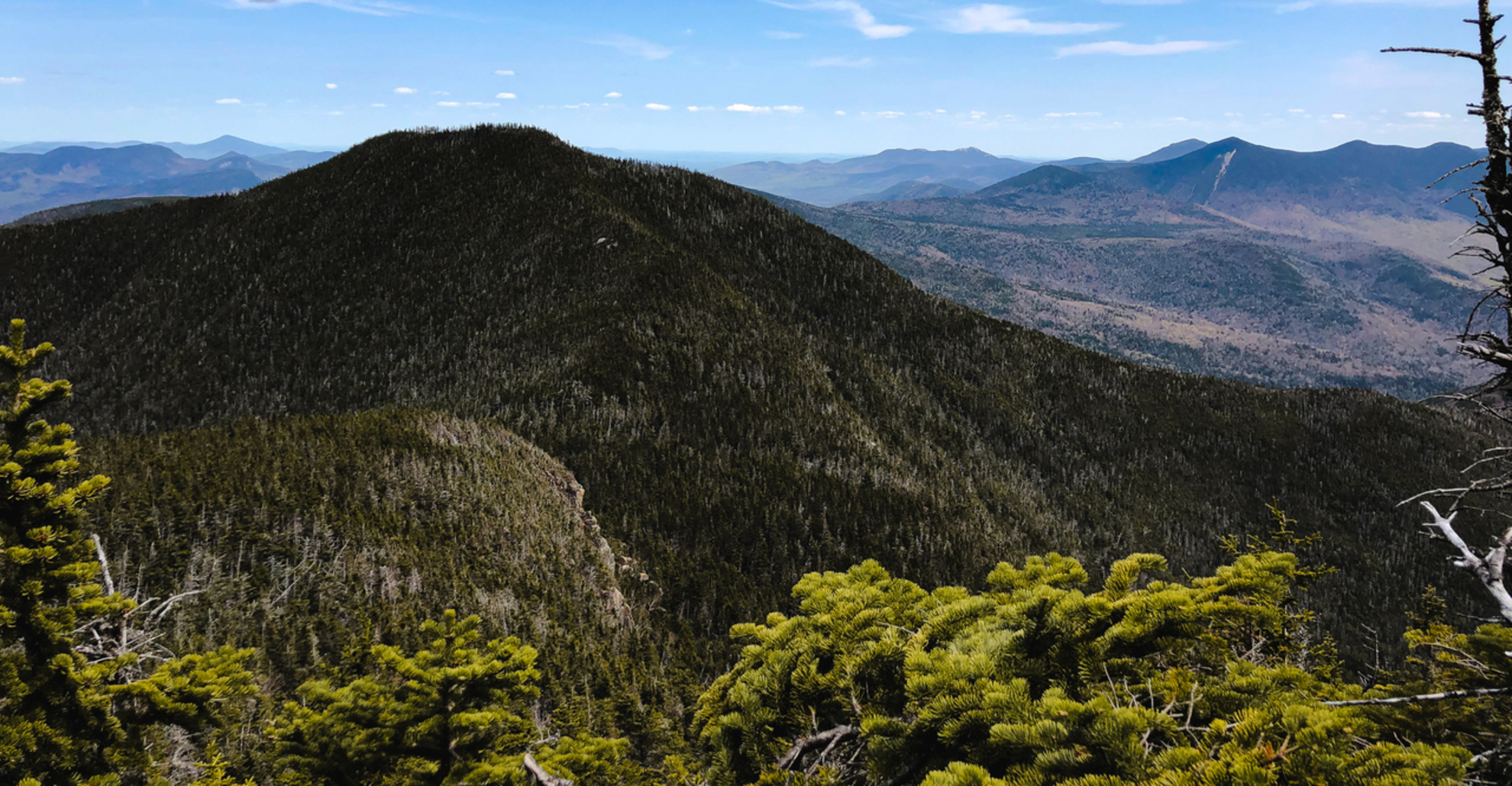 An image depicting the trail Little East Pond Loop Trail and its surrounding area.