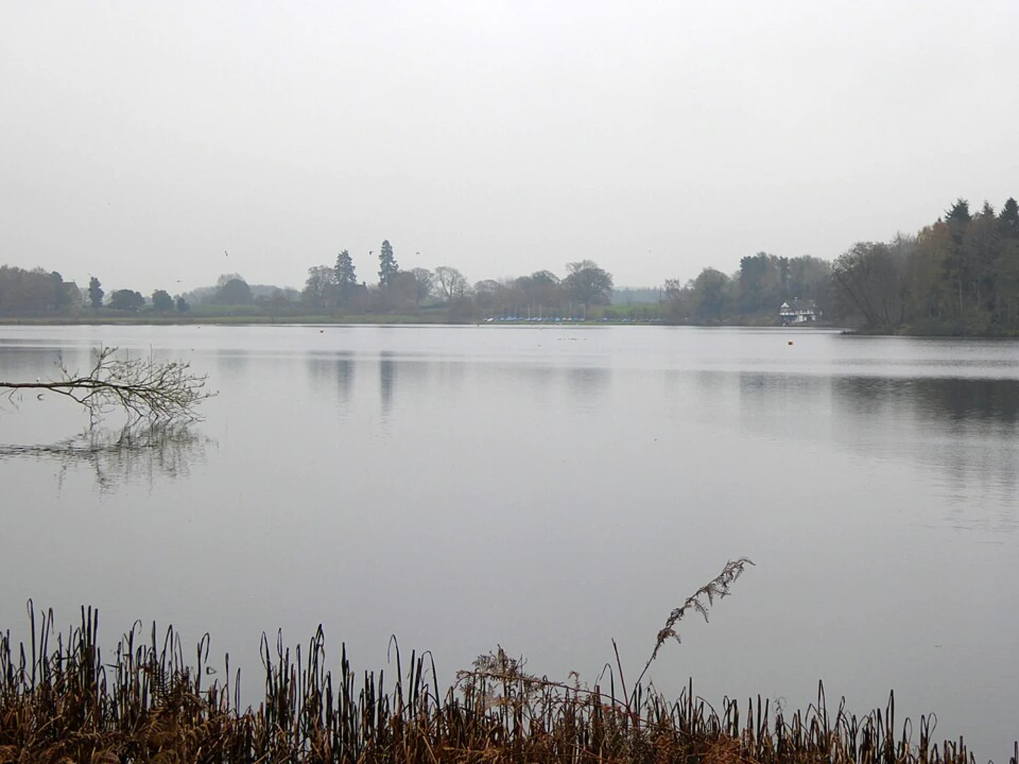 An image depicting the trail Colemere and Welshampton on and Lyneal Park and its surrounding area.
