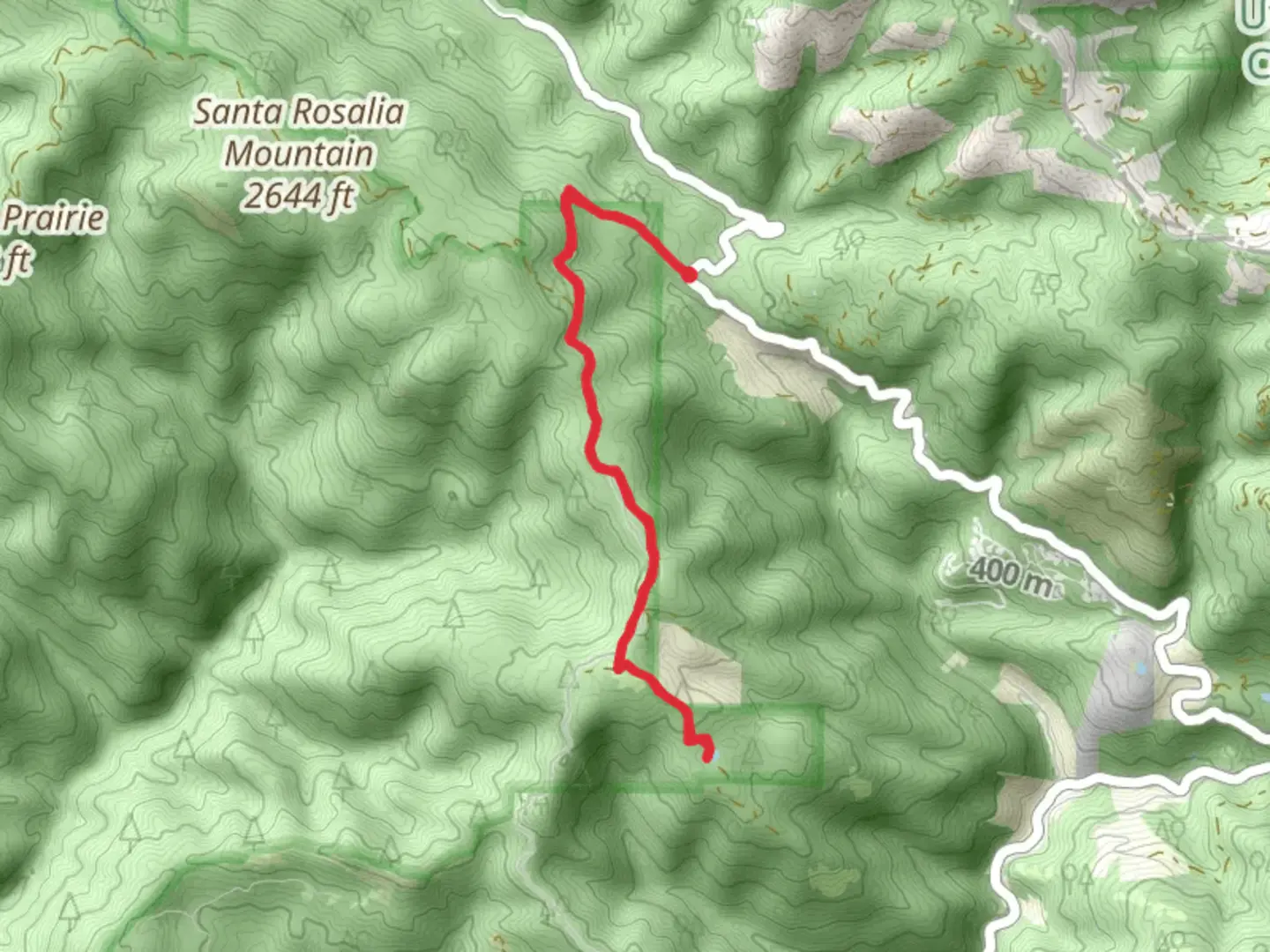 An image depicting the trail Buzzard Lagoon Road and its surrounding area.