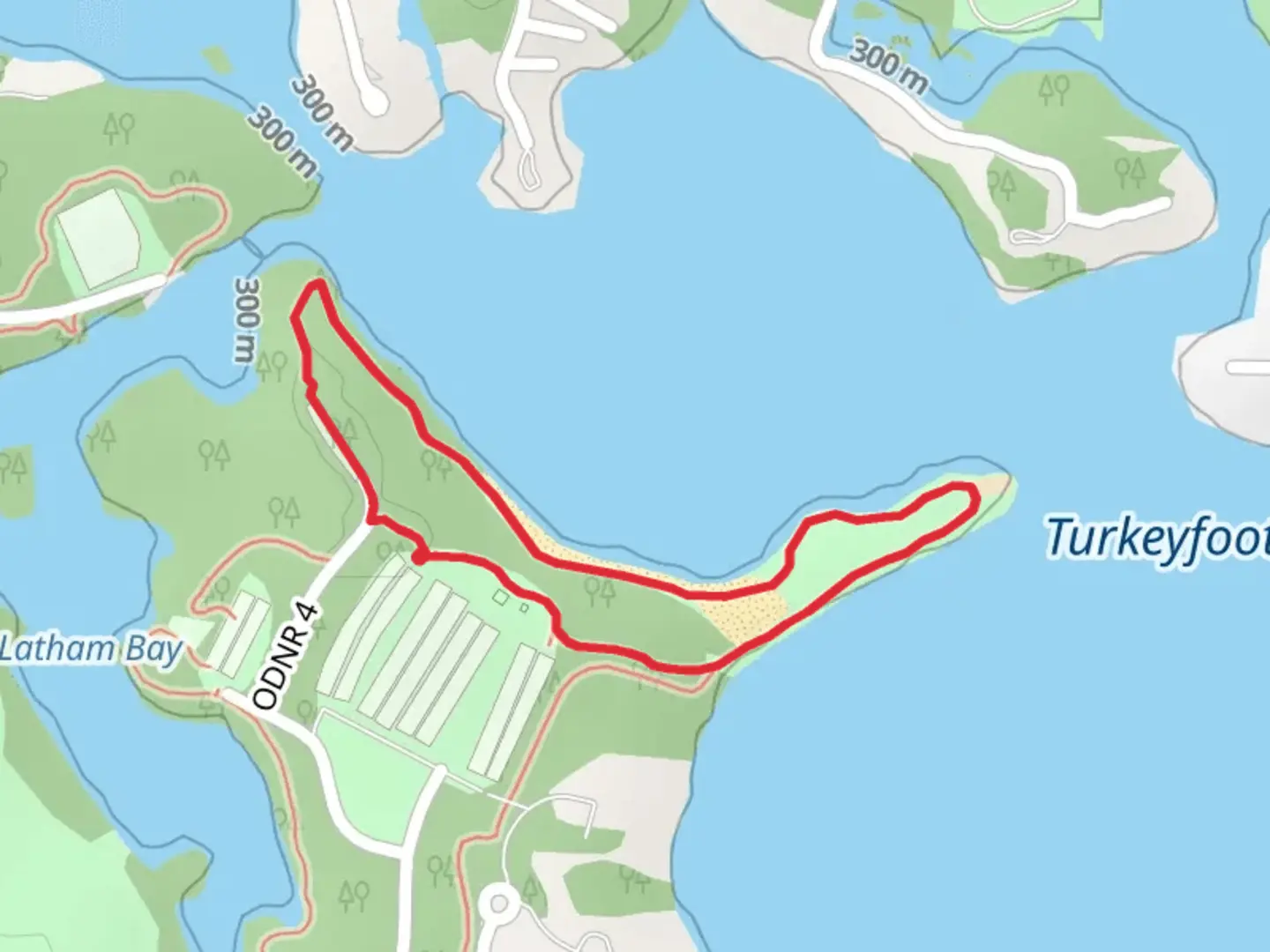 An image depicting the trail Shoreline Loop Trail and its surrounding area.