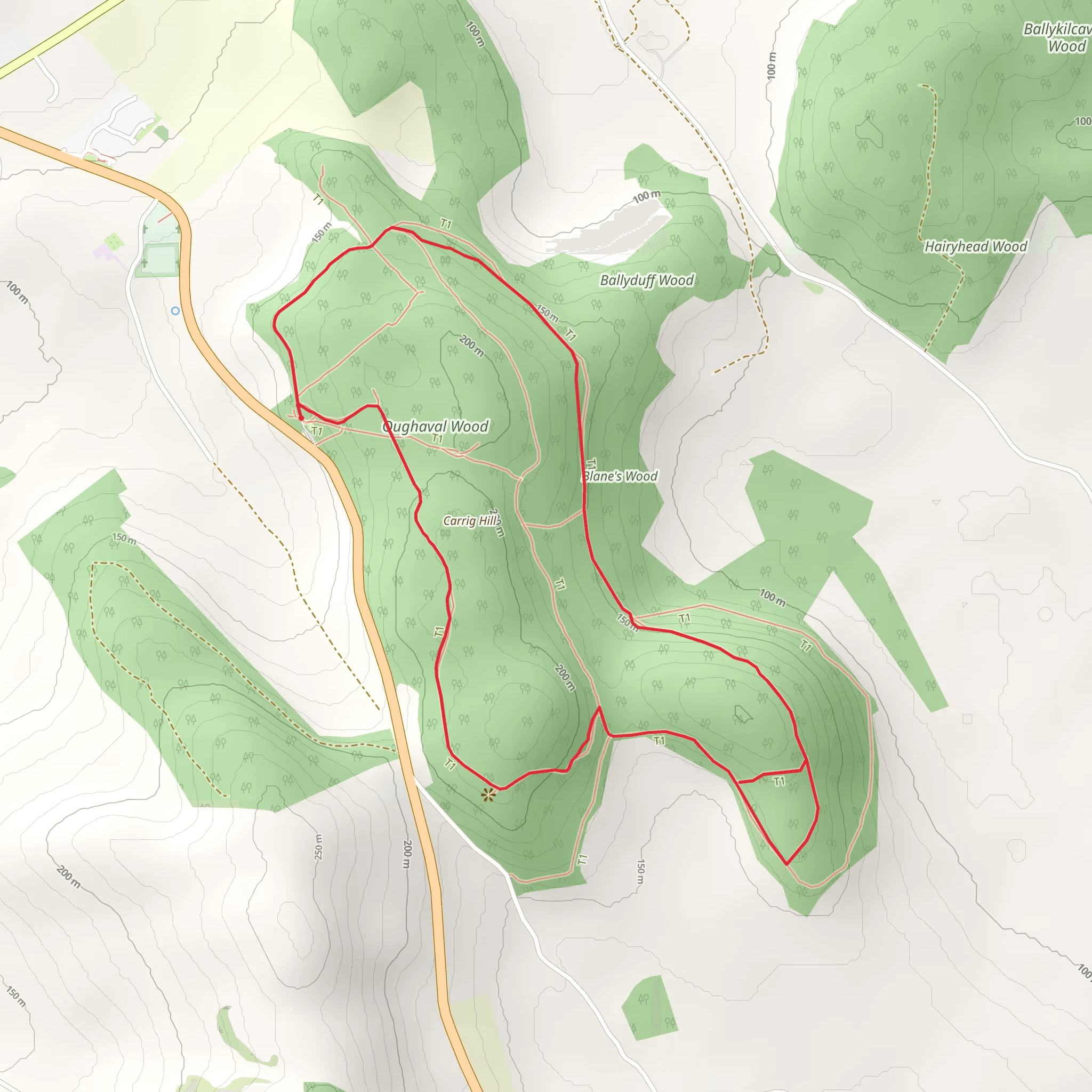 Oughaval Woods - Cobbler's Castle Walk mobile static map