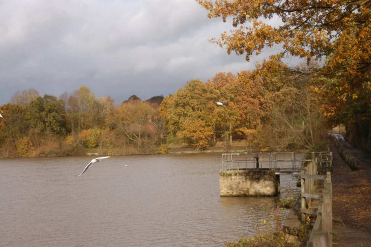Mapperley Reservoir, Mapperley Wood NNR and Shipley Wood Loop