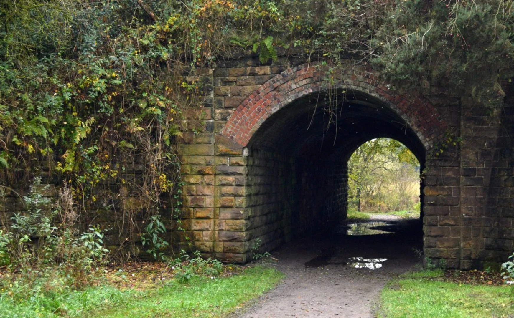 An image depicting the trail Prestwich Forest Park Loop and its surrounding area.