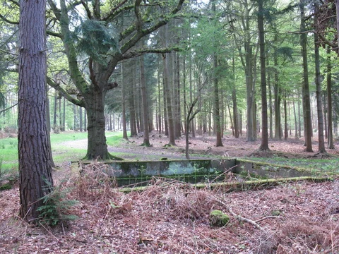 Three Castles Path from Windsor to Sandhurst