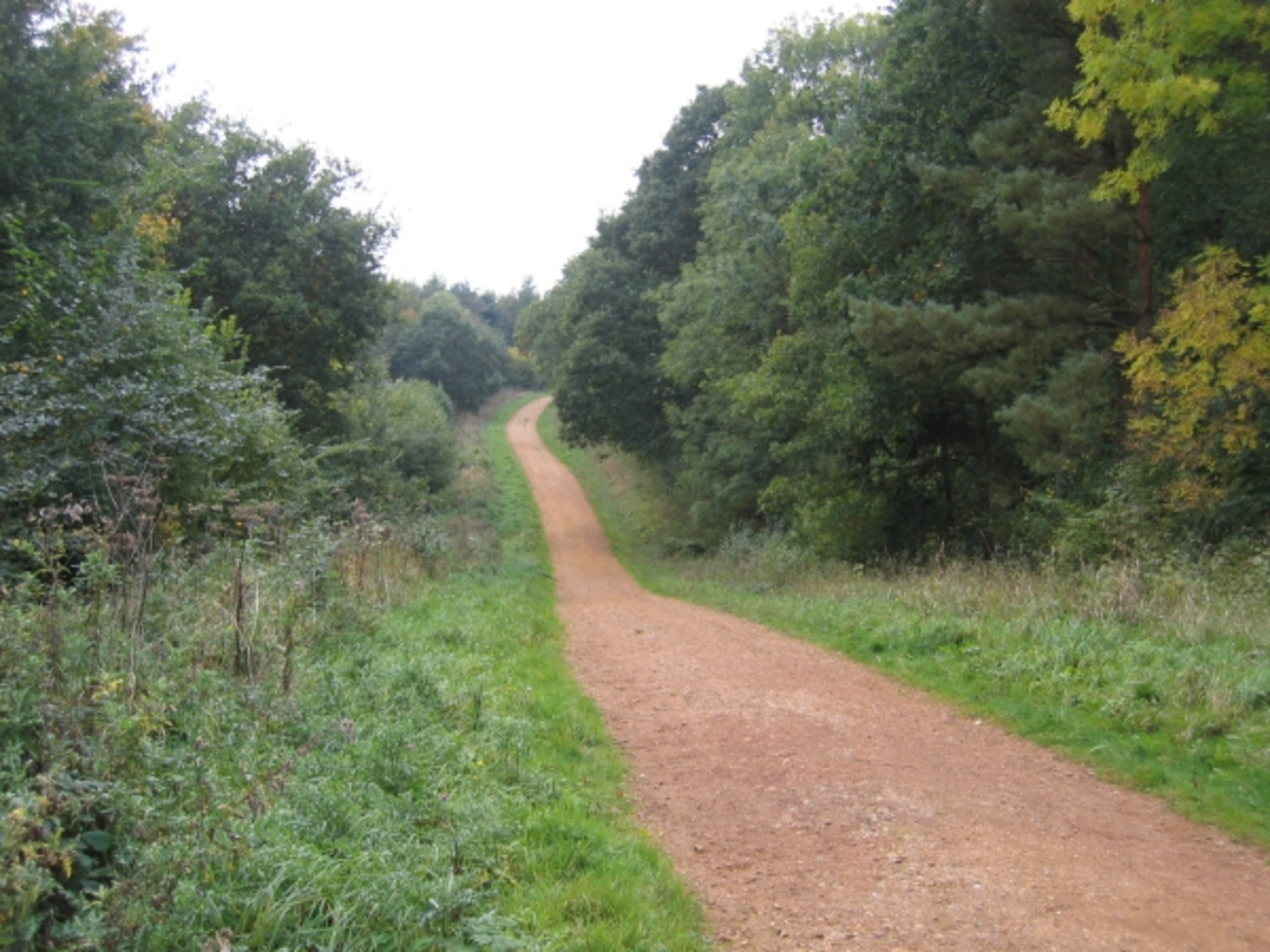 An image depicting the trail Maulden Woods Loop and its surrounding area.