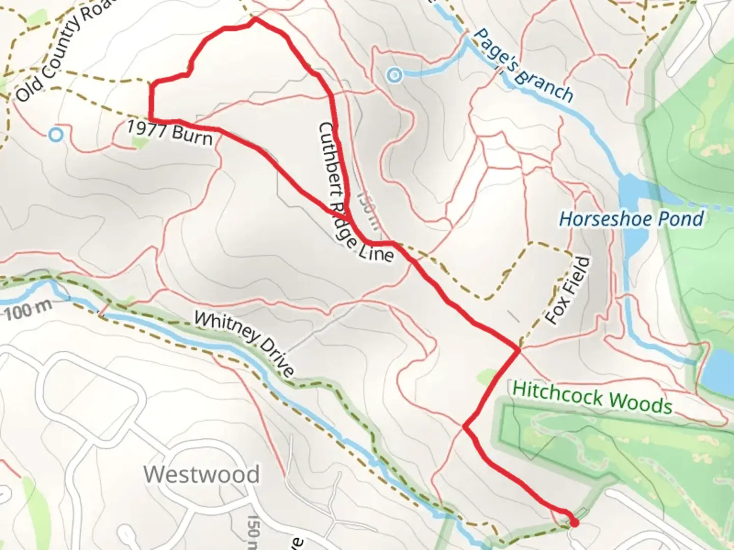 An image depicting the trail Cuthbert Ridge Line Loop and its surrounding area.