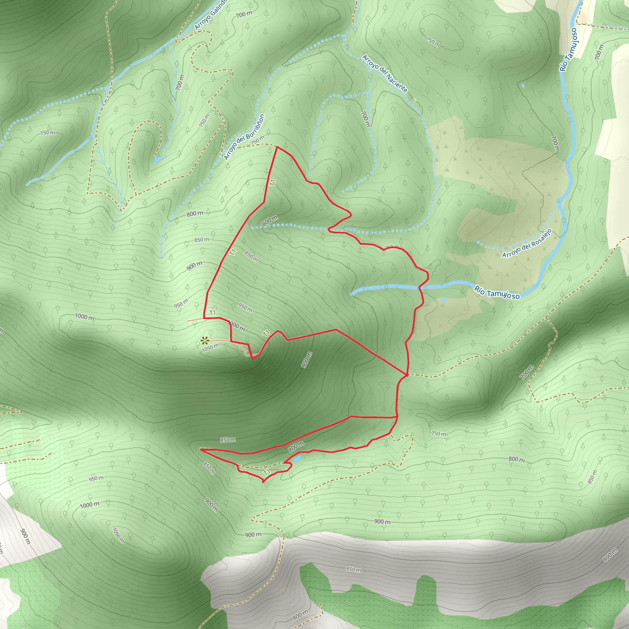 Bellavista Viewpoint Route PR TO 25 mobile static map