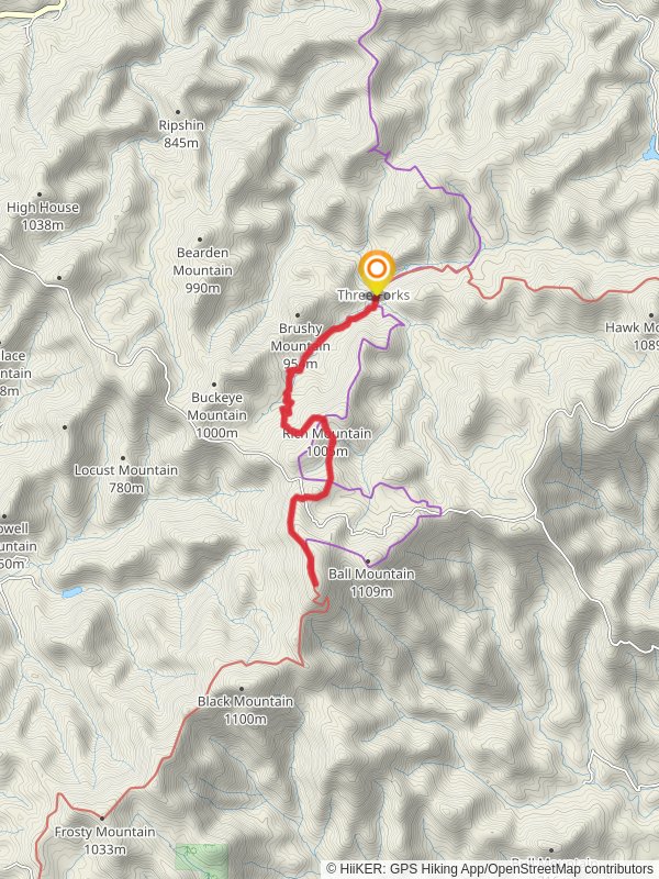 Springer Mountain via Appalachian Trail