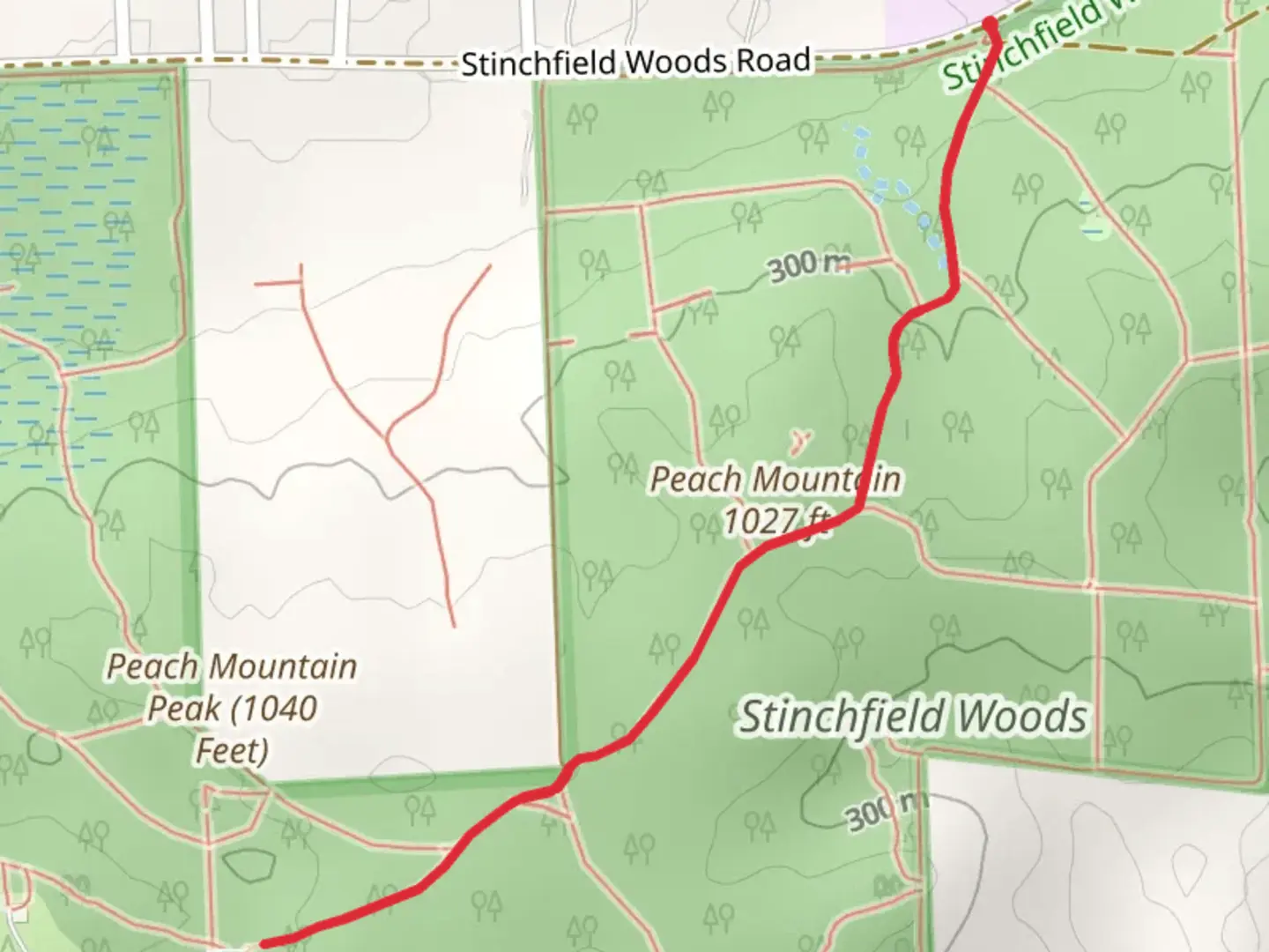 An image depicting the trail Peach Mountain Observatory Road and its surrounding area.