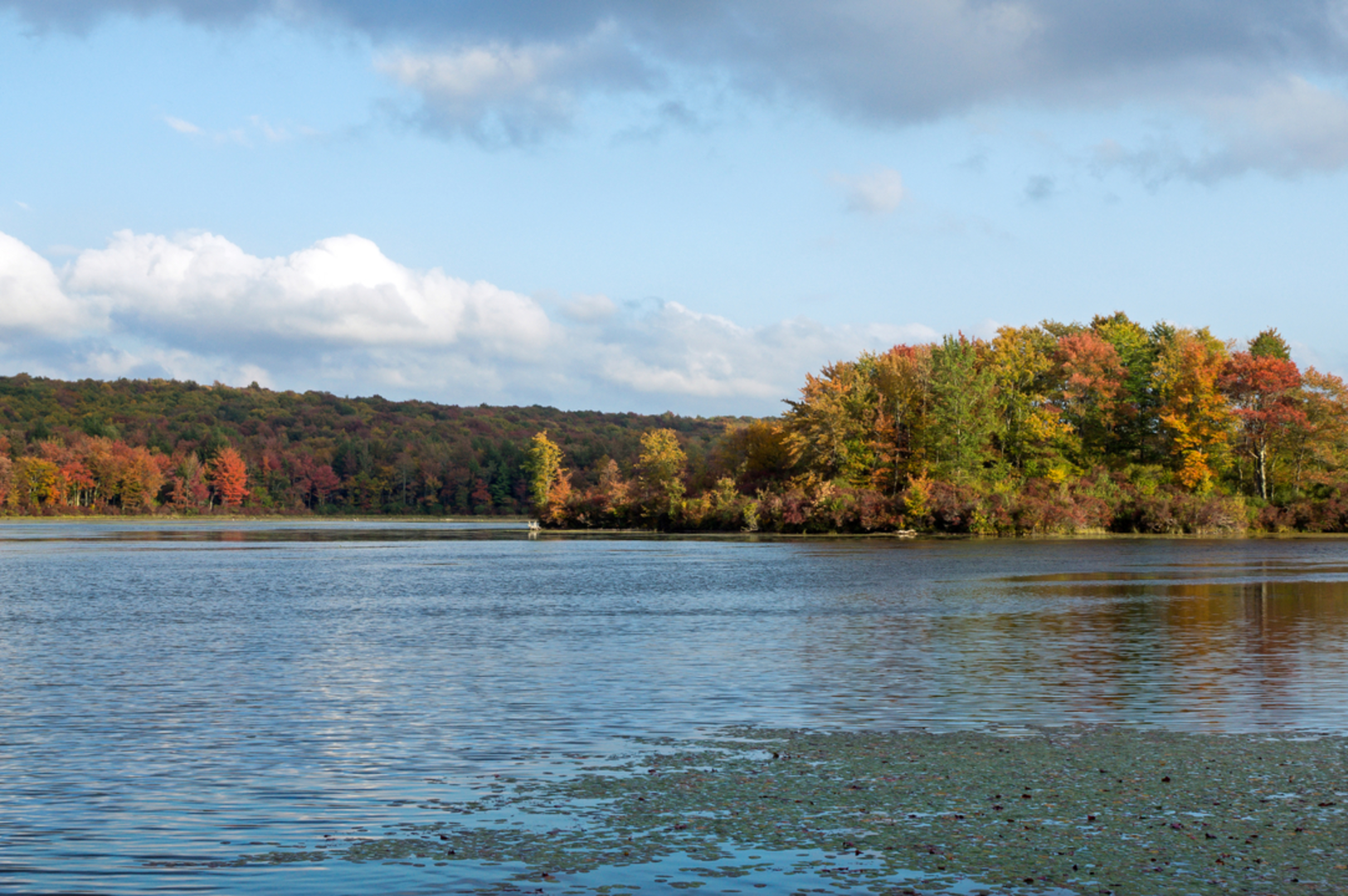 An image depicting the trail Keipel Hill and Gouldsboro Lake and its surrounding area.