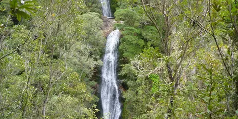 An image depicting the trail Maratoto - Wentworth Crossing and its surrounding area.