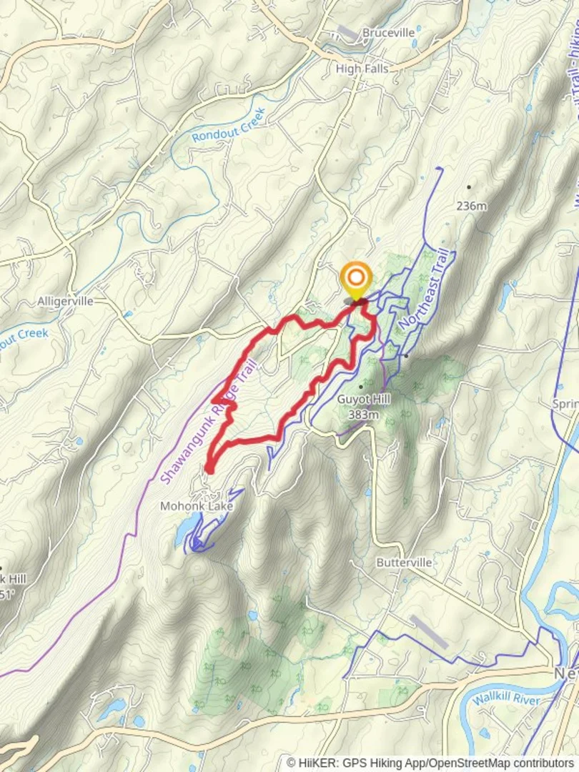 An image depicting the trail Stokes Way and Cedar Drive Loop and its surrounding area.
