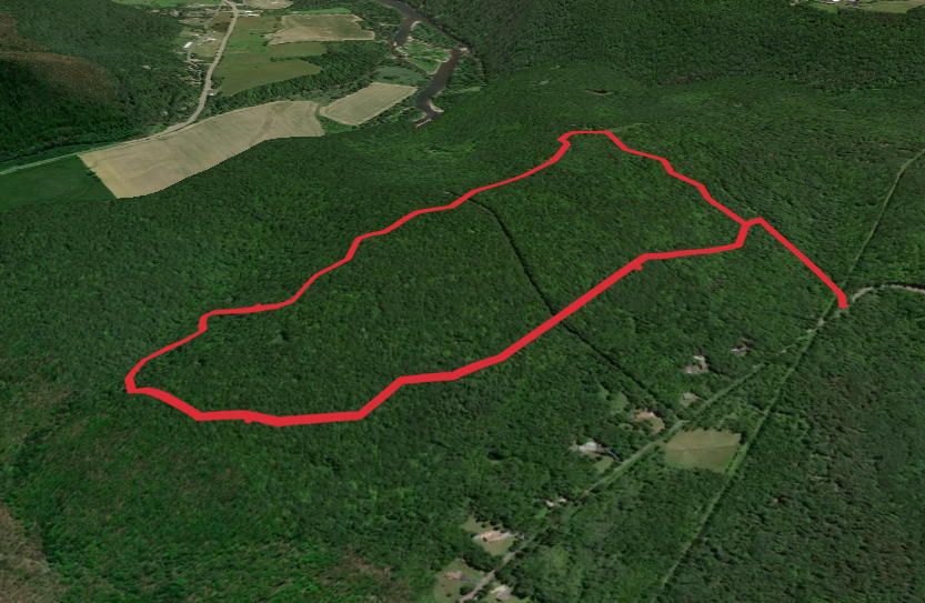 Steege Hill Road Loop