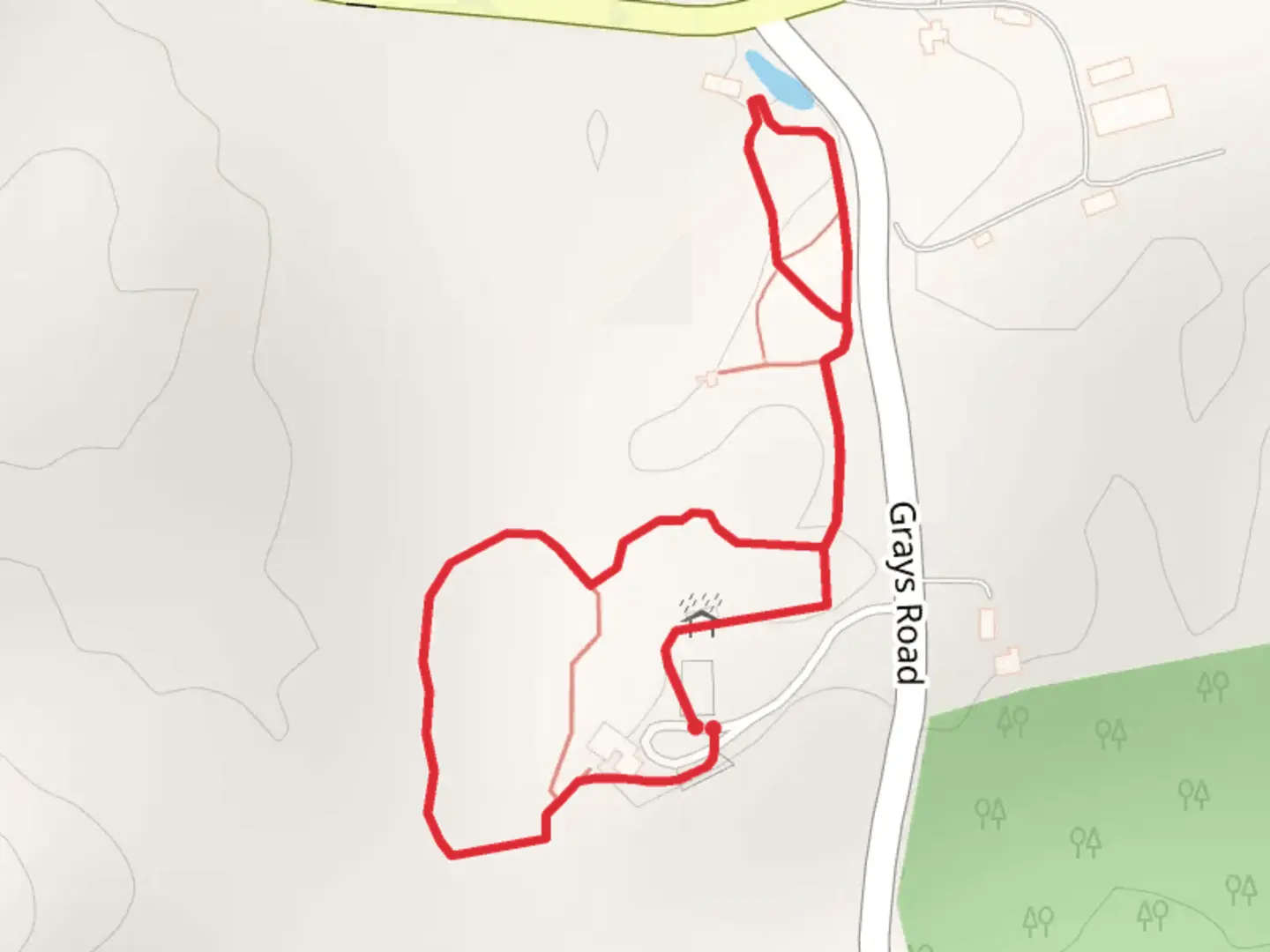 An image depicting the trail Swamp Boardwalk Loop and its surrounding area.