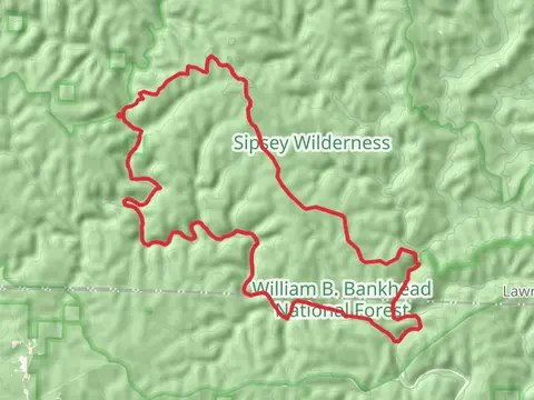 Borden Creek Wild Hiking and Sipsey Wild Hiking Loop Trail