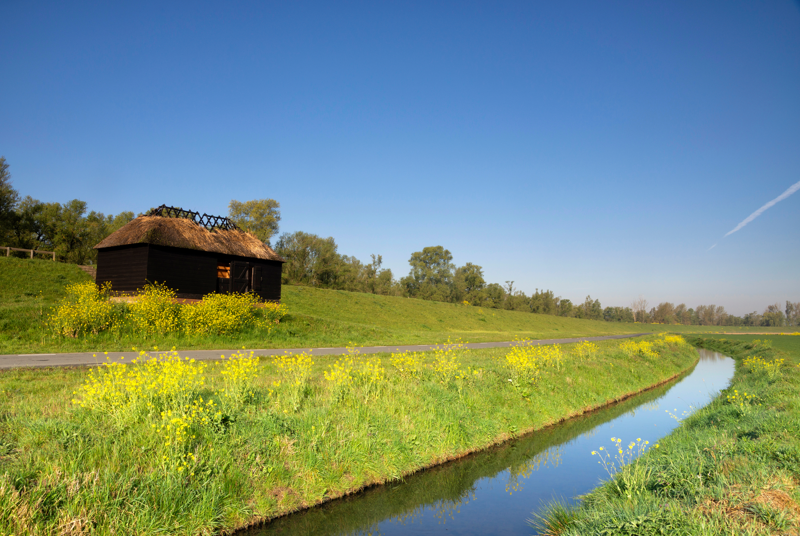 An image depicting the trail Viersprong, Tussen de Bruggen and Wilhelminahaven Loop and its surrounding area.