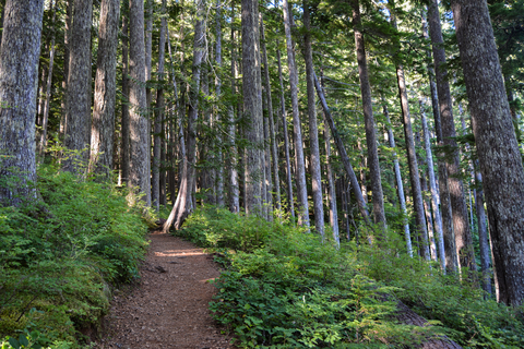 An image depicting the trail Big Creek Confluence via Upper Big Creek Loop Trail and its surrounding area.