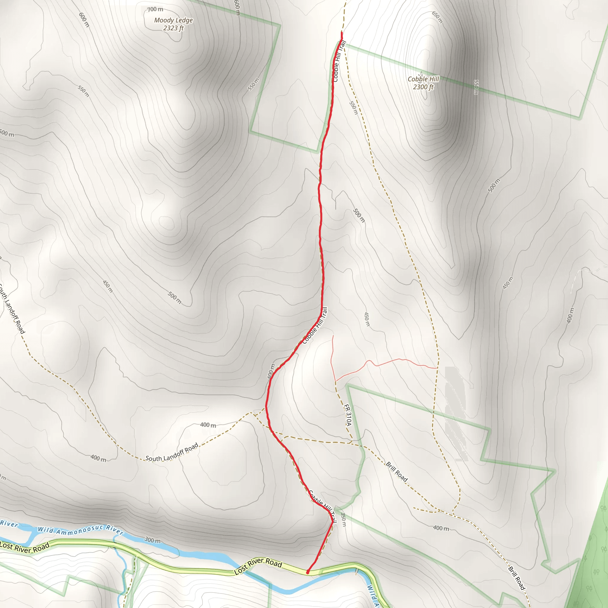 Cobble Hill Trail mobile static map