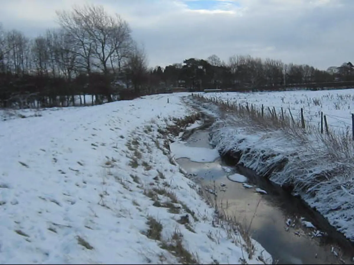 Baydale Beck Loop Path