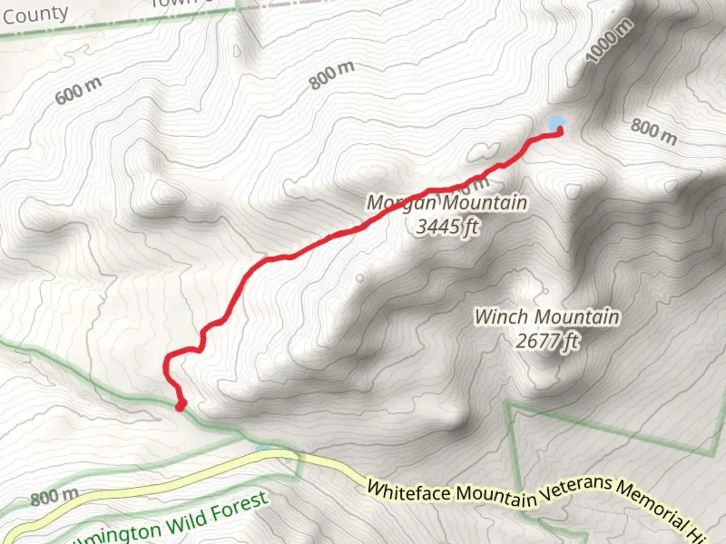 An image depicting the trail Cooper Kill Pond Trail and its surrounding area.