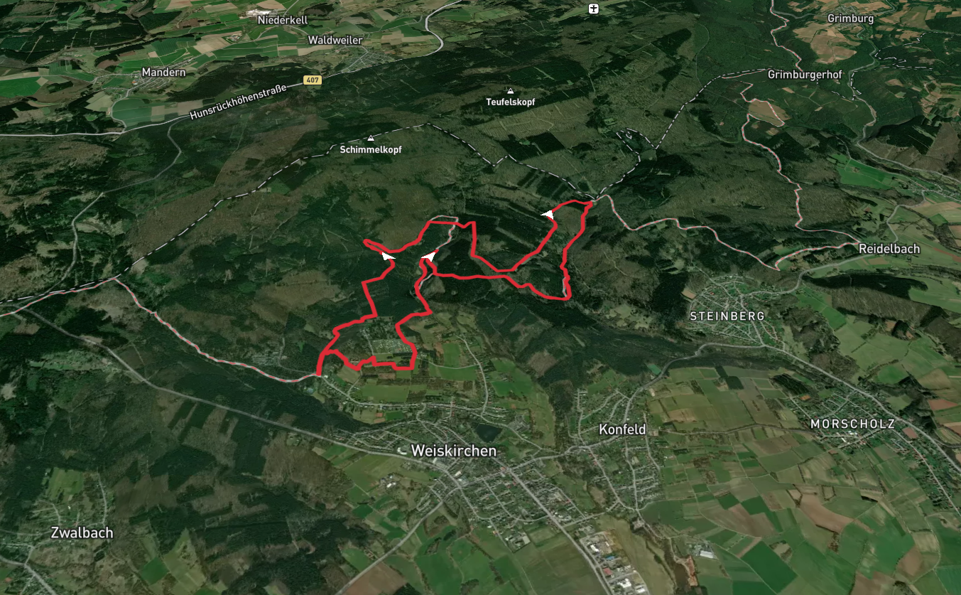 Schwarzwälder Hochwald and Harfenfichte Loop
