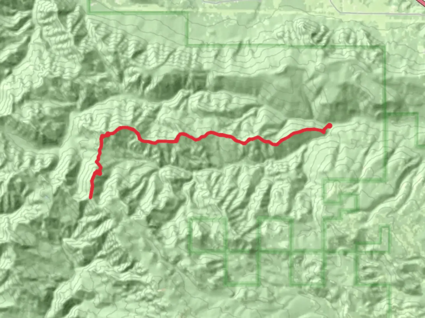 An image depicting the trail Taneum Ridge Trail and its surrounding area.