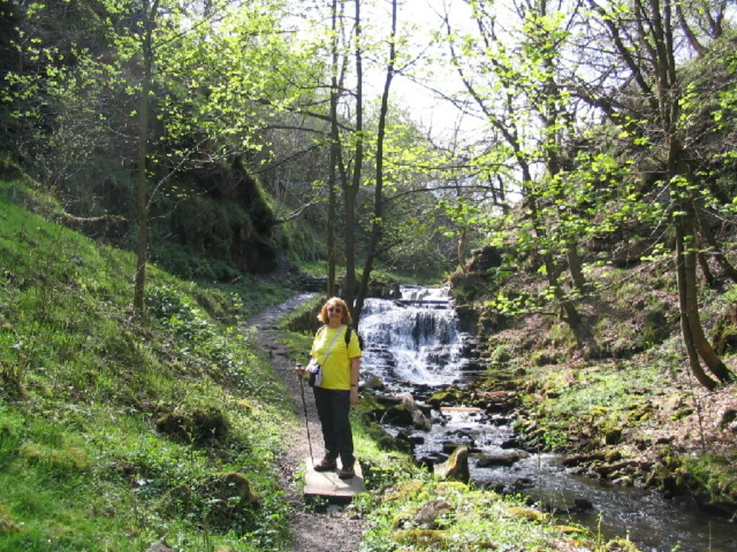 An image depicting the trail Gorpley Reservoir and Gorpley Clough Local Nature Reserve and its surrounding area.