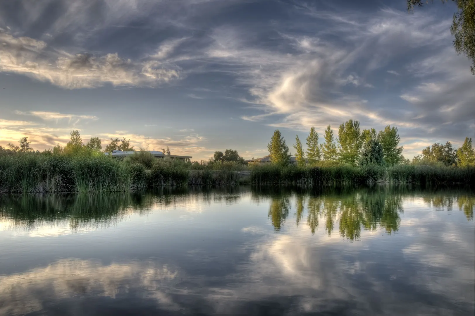 An image depicting the trail Los Alamitos Creek Trail and its surrounding area.